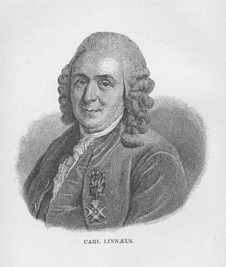 Illustration for article titled Carl Linnaeus Debunked A Rumored Hydra Corpse